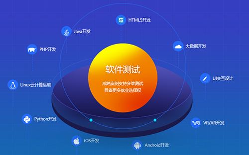 揭秘it招聘排名top 10的技能