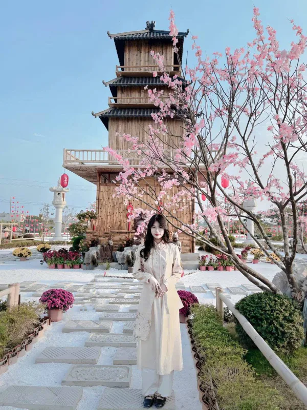 台中定點茶-天晴