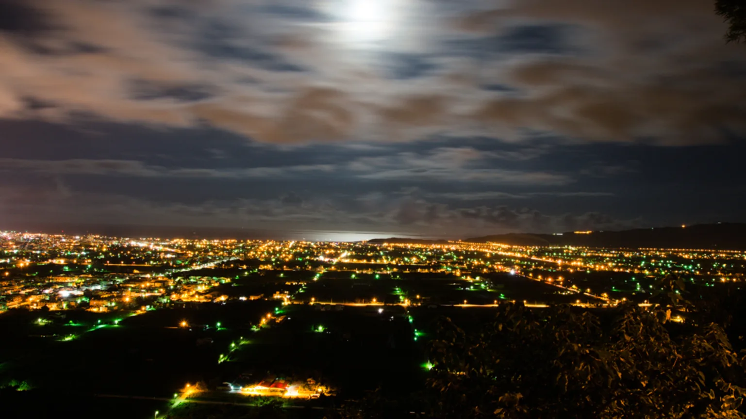 花蓮外送茶-可可